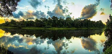 Parque Nacional del Manu: Patrimonio de conservación mundial