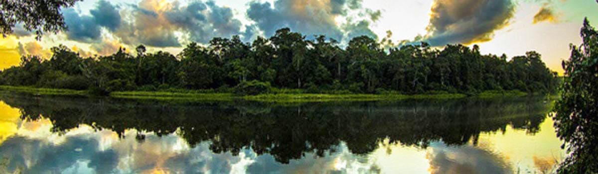 Parque Nacional del Manu: Patrimonio de conservación mundial